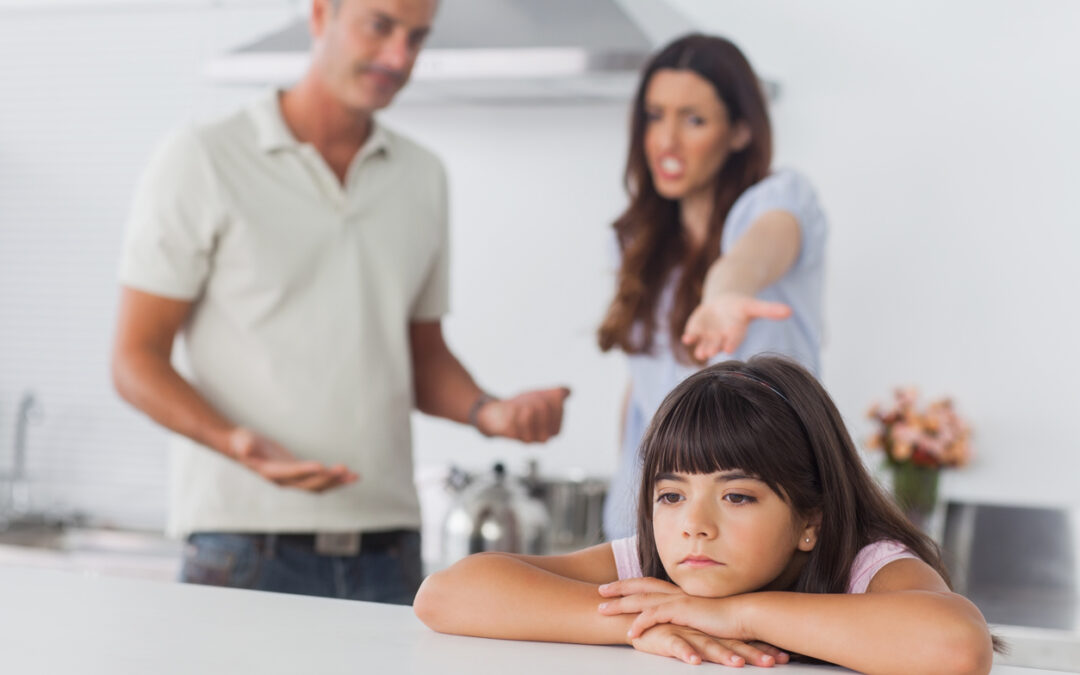 Parenting Case Where Coercive Control Is Alleged | Melbourne Family Law Specialist